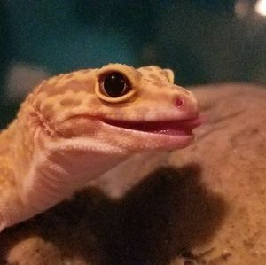 Meet your Posher, Avery